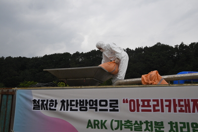 아프리카돼지열병가상방역훈련(87).JPG