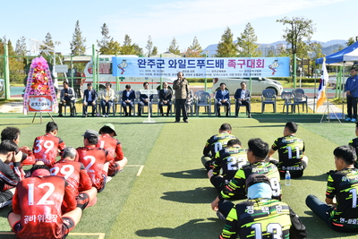 완주와일드푸드배족구대회(10).JPG