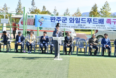 완주와일드푸드배족구대회(12).JPG