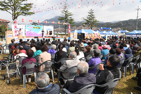 게시글 제목출력