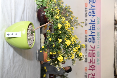 소양국화전시회(10).JPG
