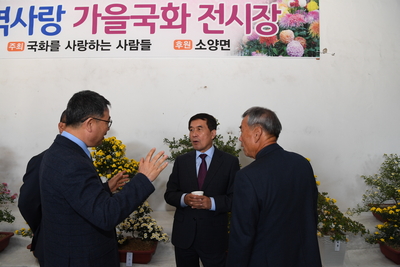 소양국화전시회(16).JPG