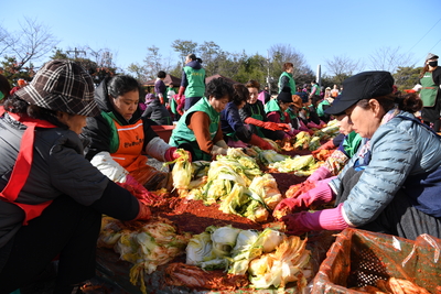 완주군새마을회사랑의김장김치나눔행사(8).JPG