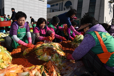 완주군새마을회사랑의김장김치나눔행사(10).JPG