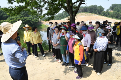 용진읍사랑의벼재배모내기행사(12).JPG
