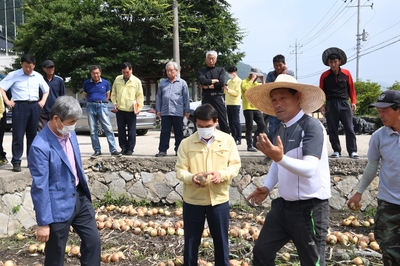 수해농가방문(양파,수박)(1).JPG