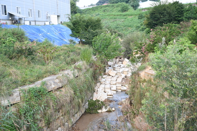 전라북도지사수해피해현장방문(1).JPG