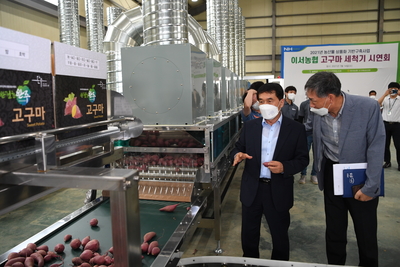 이서농협고구마세척기시연회및출하식(3).JPG