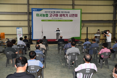 이서농협고구마세척기시연회및출하식(12).JPG