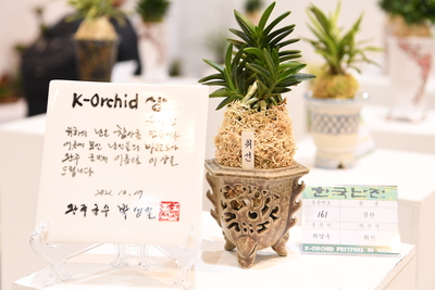 난전시회(57).JPG