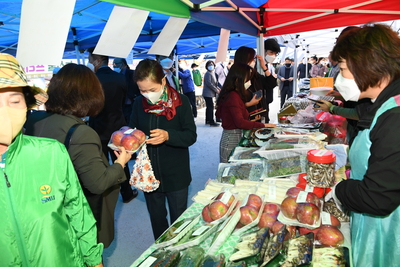 새마을농산물직거래장터행사(21).JPG