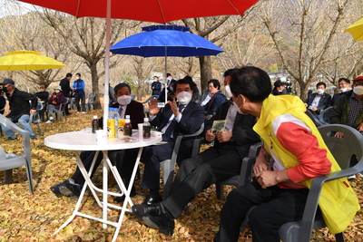 동상면묵계마을‘은행나무숲음악회’(12).JPG