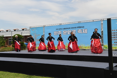 완주문화로축제(15).JPG