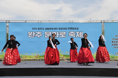 완주문화로축제(19).JPG
