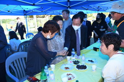 이서면민의날(2).JPG