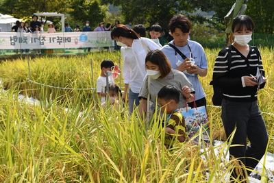 와푸2일차(149).JPG