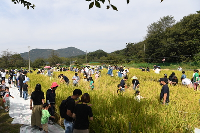 와푸2일차(152).JPG