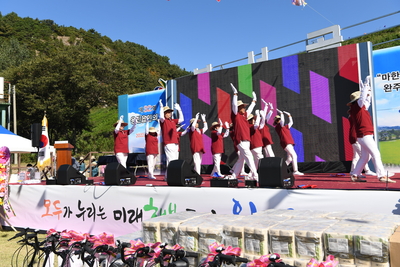 용진읍민의날(111).JPG