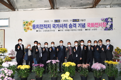 소양면국화전시회(12).JPG