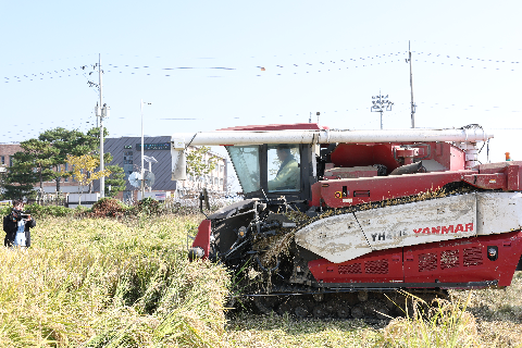 삼례읍 사랑드리미 쌀 나눔 행사 (51).JPG