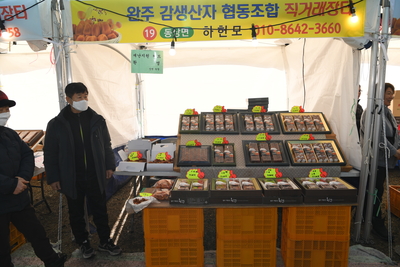 곶감직거래장터(14).JPG