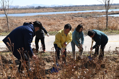 식목일나무심기행사(50).JPG