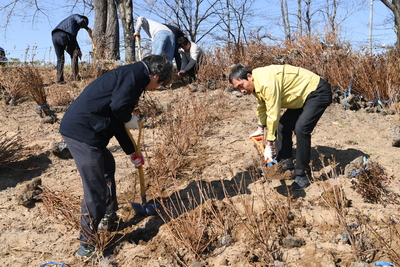 식목일나무심기행사(54).JPG