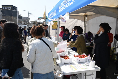 삼례딸기축제(1).JPG