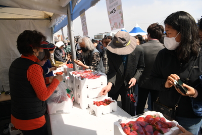 삼례딸기축제(3).JPG