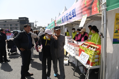 삼례딸기축제(4).JPG
