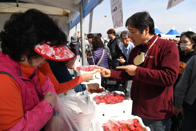 삼례딸기축제(8).JPG