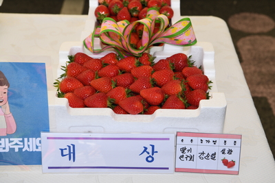 삼례딸기축제(10).JPG