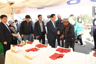 삼례딸기축제(22).JPG