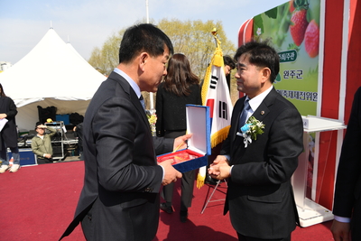 삼례딸기축제(46).JPG