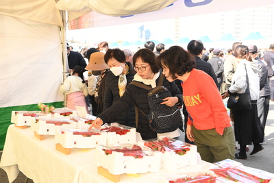 삼례딸기축제(67).JPG