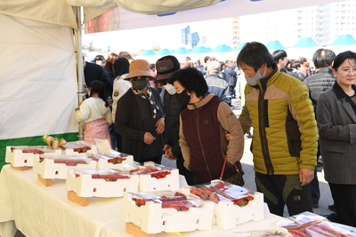 삼례딸기축제(68).JPG