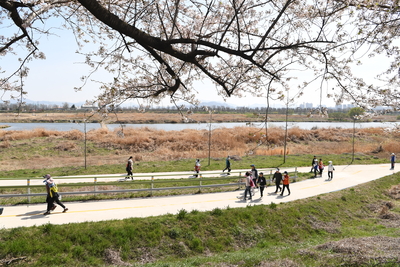 만경강강줄기따라걷기행사(50).JPG
