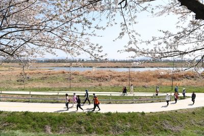 만경강강줄기따라걷기행사(51).JPG
