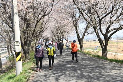 만경강강줄기따라걷기행사(63).JPG
