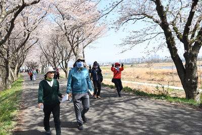 만경강강줄기따라걷기행사(66).JPG