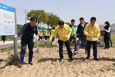 봉동읍만경강둔치내꽃씨뿌리기행사(20).JPG