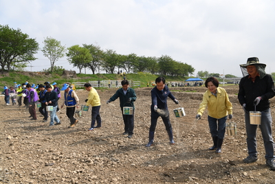 삼례만경강둔치꽃씨뿌리기행사(53).JPG
