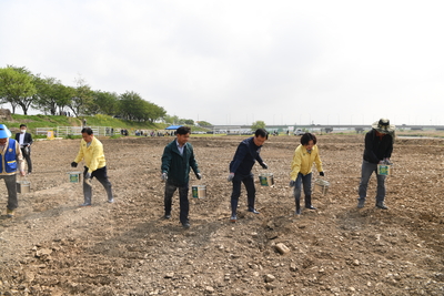 삼례만경강둔치꽃씨뿌리기행사(62).JPG