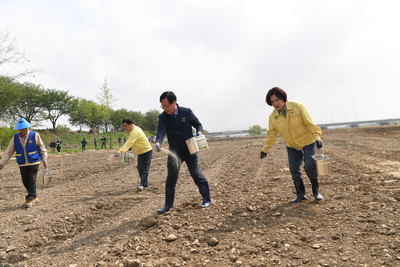 삼례만경강둔치꽃씨뿌리기행사(77).JPG