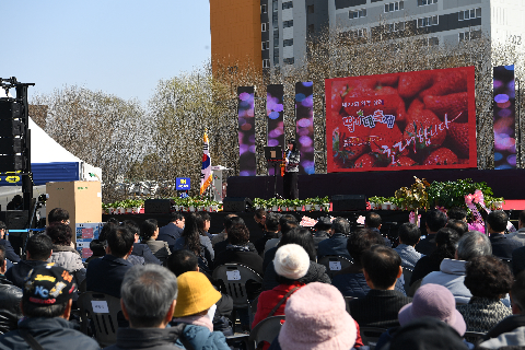 삼례딸기축제 (32).JPG