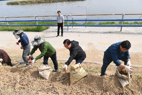 삼례읍 상사화심기 (33).JPG