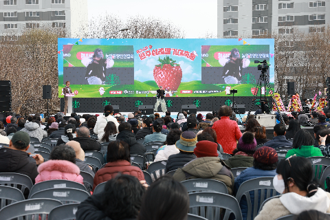 삼례딸기축제 (54).JPG