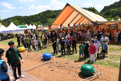 대둔산축제(45).JPG