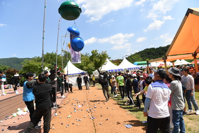 대둔산축제(57).JPG