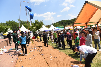 대둔산축제(58).JPG